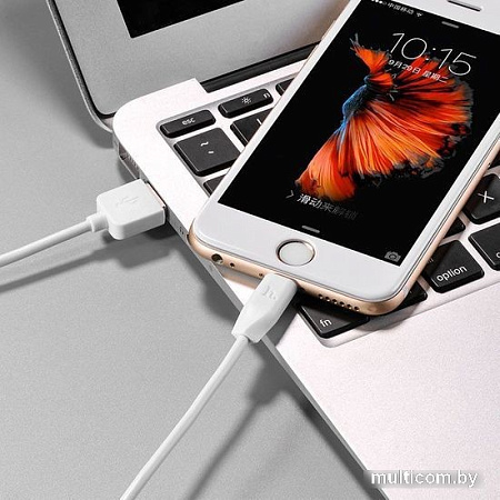 Кабель Hoco X1 USB Type-A - Lightning (1 м, белый)