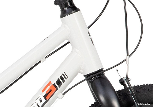Детский велосипед Maxiscoo 3bike 20 L 2025 MSC-M3-2003 (серый)