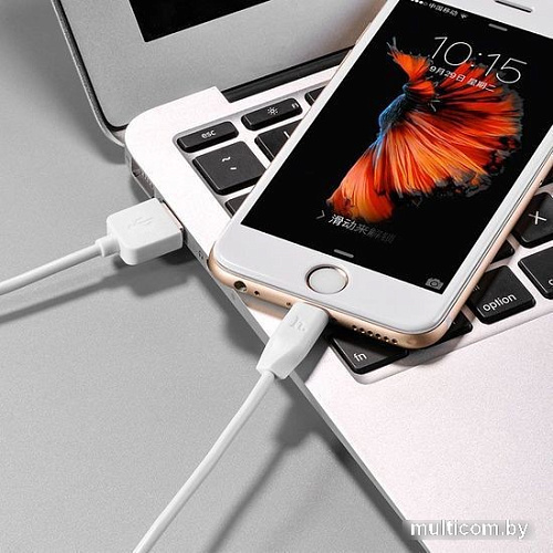 Кабель Hoco X1 USB Type-A - Lightning (1 м, белый)