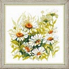 Набор для вышивания Риолис Крупные ромашки № 1765