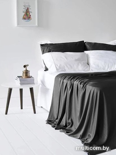 Постельное белье GoodNight Essential Евро 400384 (черный)