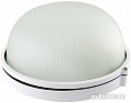 Лампа TDM Electric НПБ1101 (белый)