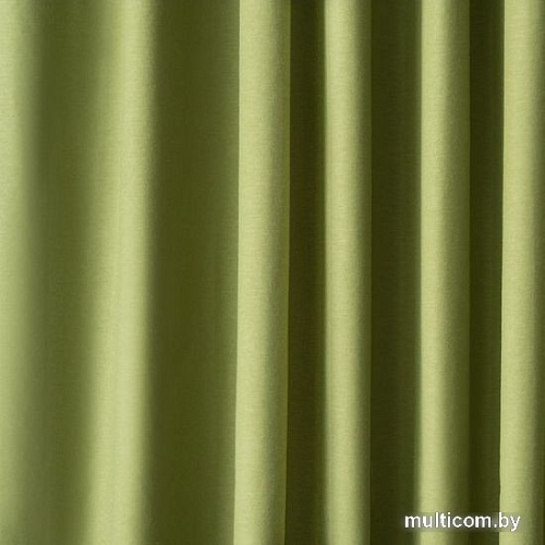 Комплект штор Pasionaria Билли 340x250 с подхватами (травяной)
