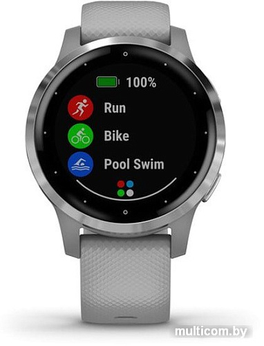 Умные часы Garmin Vivoactive 4s (серый/серебристый)