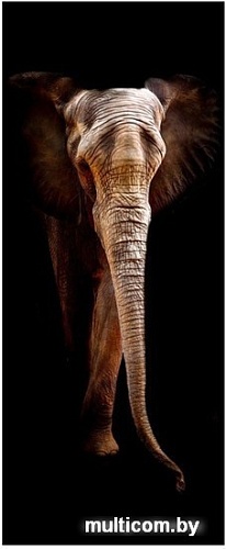 Картина на стекле Orlix Слон-2 GL-00776 50x125