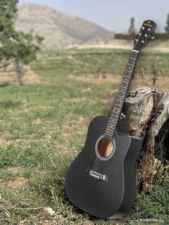 Акустическая гитара ROKSO FT-221-BK
