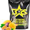 Протеин Binasport Extreme Mass Gainer (1000г, манго/маракуйя)