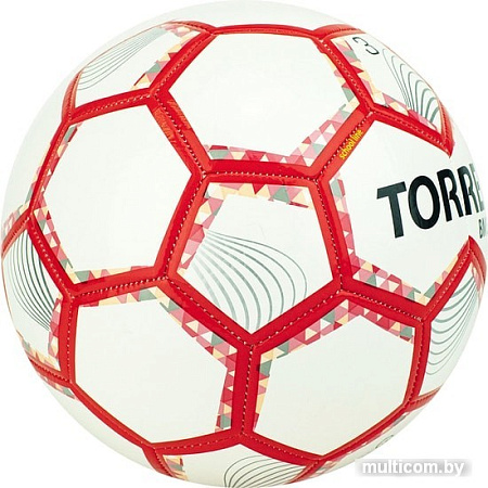 Мяч Torres BM300 F320743 (3 размер)