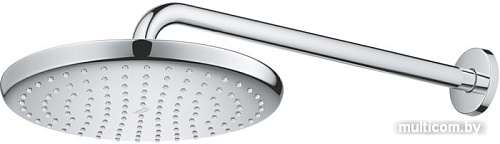 Верхний душ Grohe Tempesta 250 26668000