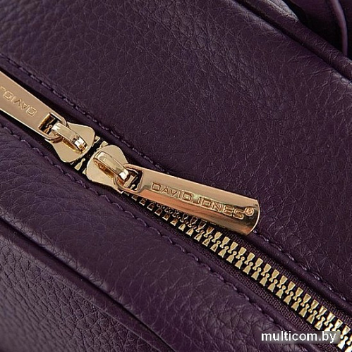 Городской рюкзак David Jones 823-7000-2-PRP (фиолетовый)