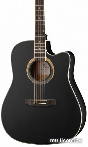 Акустическая гитара Foix FFG-2041C-BK