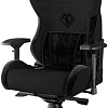 Кресло AndaSeat T-Pro 2 (черный)