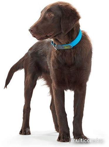 Ошейник Hunter Collar Convenience 63153 (55/M-L, бирюзовый)