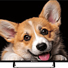 Телевизор Topdevice 43&amp;quot; SMART TV YаOS 03 (черный)