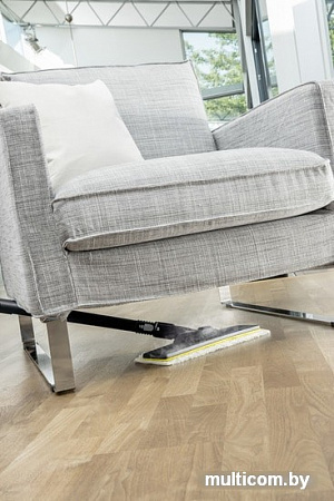 Отпариватель-пароочиститель Karcher SI 4 EasyFix Premium Iron