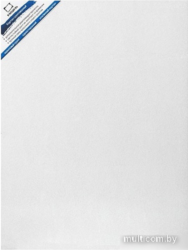 Картон для рисования Малевичъ Грунтованный Односторонний 312530