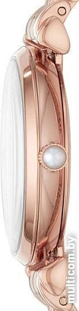 Наручные часы Emporio Armani AR11267