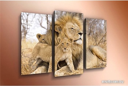 Модульная картина Arthata m-000314 120x80