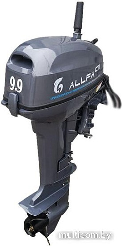Лодочный мотор Allfa CG T9.9BW S MAX