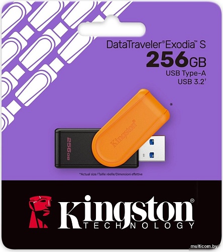 USB Flash Kingston DataTraveler Exodia S 256GB DTXS/256GB