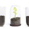 Емкость Qualy Sprout Jar QL10205-BN