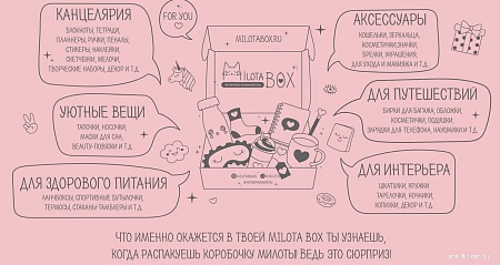Подарочный набор Milota Box Fox Mini MBS010