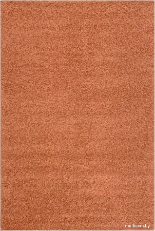 Ковер для жилой комнаты Moldabela Shaggy Geko Прямоугольник 1039 1 30933 (1.33x1.7)