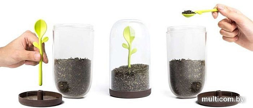 Емкость Qualy Sprout Jar QL10205-BN