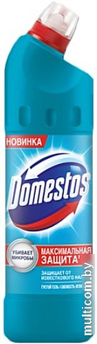 Универсальное средство Domestos Свежесть Атлантики 1 л