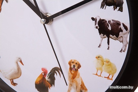 Настенные часы Bresser Junior (белый/черный)