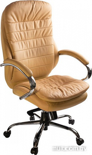 Кресло Бюрократ T-9950AXSN