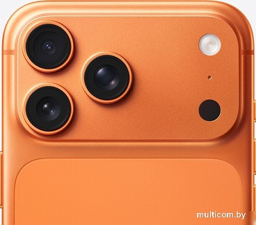 Телефон Apple iPhone 17 Pro Max Dual SIM 256GB (космический оранжевый)