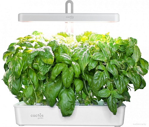 Умный сад CACTUS CS-LEDPOT-10