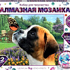 MultiArt Собака и бабочка AM30X4