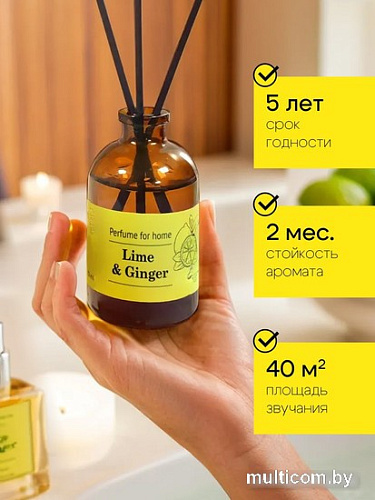Аромадиффузор Solex Лайм и имбирь (50 мл)