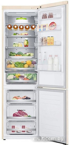 Холодильник LG DoorCooling+ GC-B509SEUM
