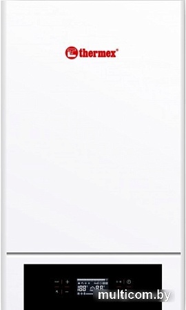 Отопительный котел Thermex Quantum E908