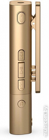 Bluetooth гарнитура Sony SBH54 Gold