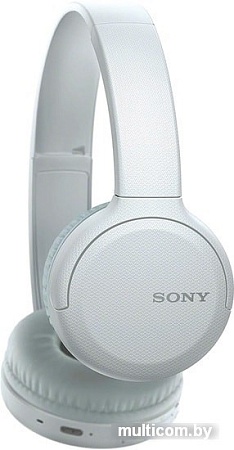 Наушники Sony WH-CH510 (белый)