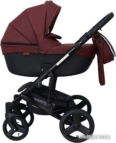 Ray Corsa Ecco (2 в 1, 29)