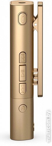 Bluetooth гарнитура Sony SBH54 Gold