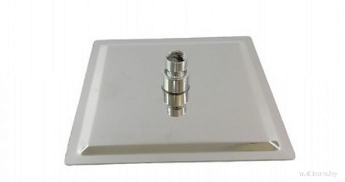 Душевая лейка Wisent WP304-20