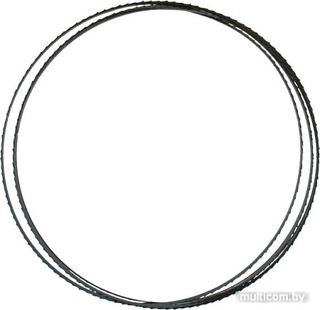 Пильное полотно Ryobi RAKBS6TPI 5132003385