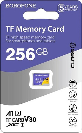 Карта памяти Borofone microSDXC 256GB (без адаптера)
