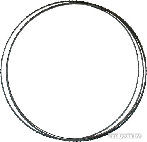 Пильное полотно Ryobi RAKBS6TPI 5132003385