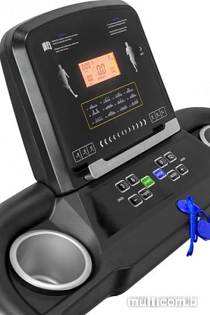 Беговая дорожка Alpin Glace