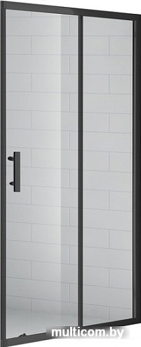 Душевая дверь Cezares Eco-O-BF-1-120-C-Nero