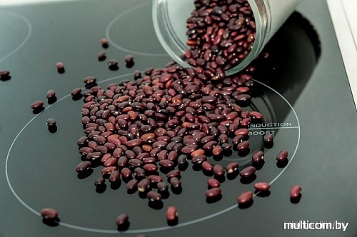 Варочная панель Monsher MKFI 7016B2