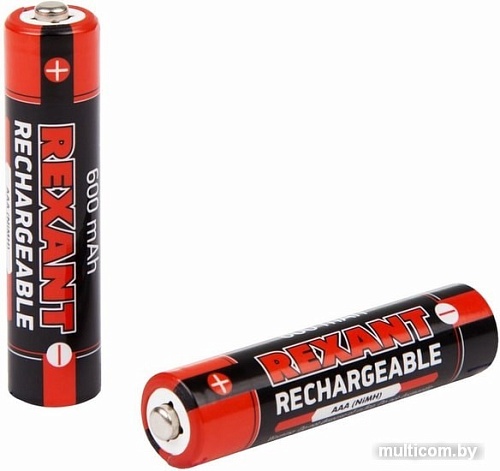 Аккумуляторы Rexant AAA 600mAh 2шт 30-1406