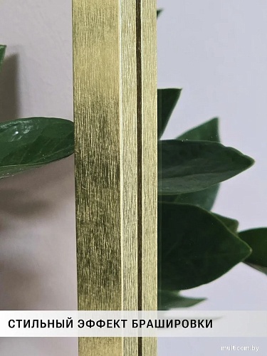 Зеркало eMZe Прямоугольное 50x70 DK4002.AUR (золото)